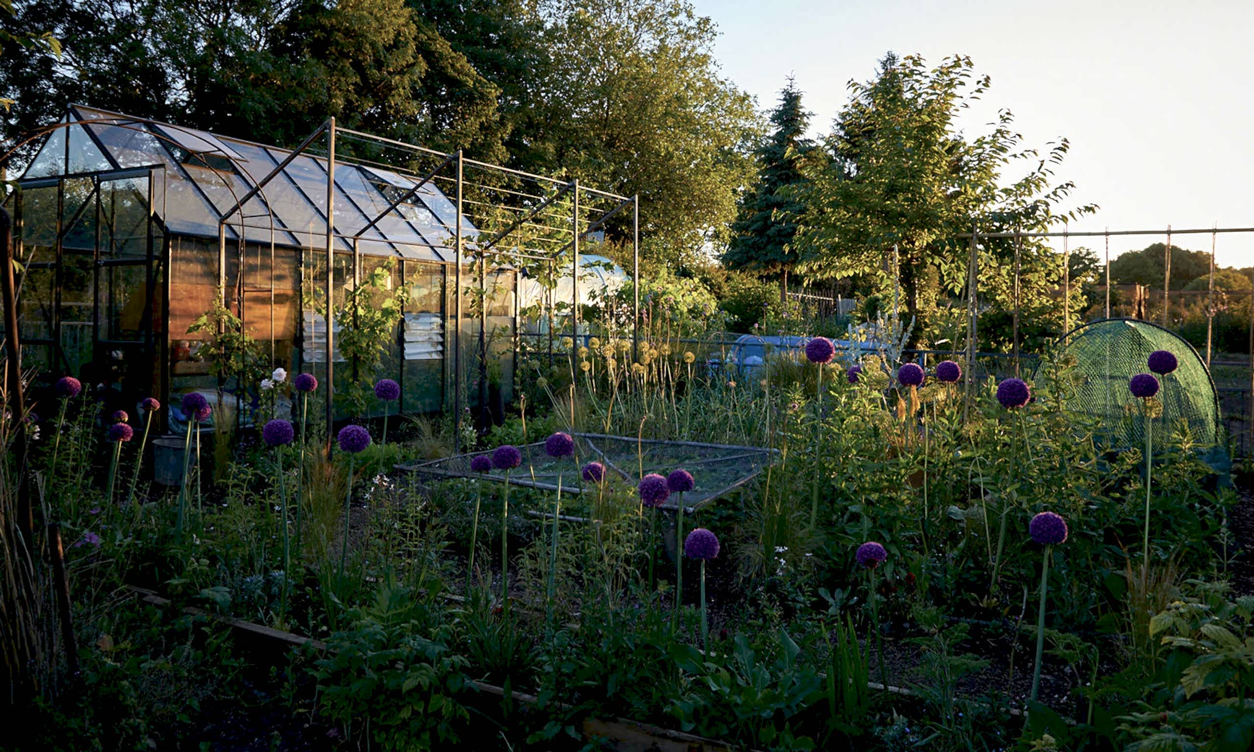 Allotment_garden_design