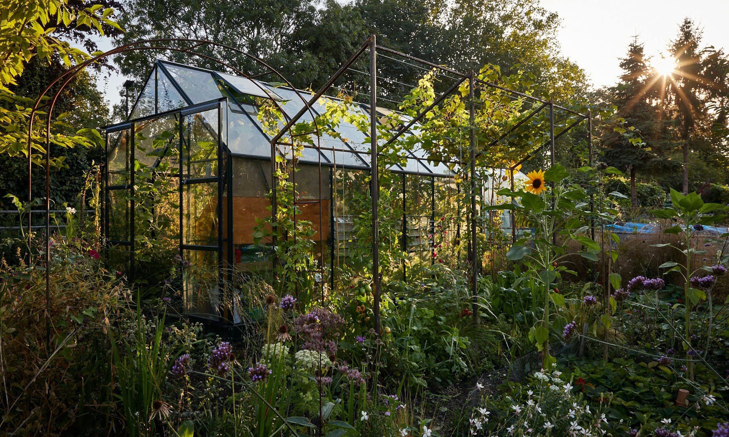 Allotment_garden_design3