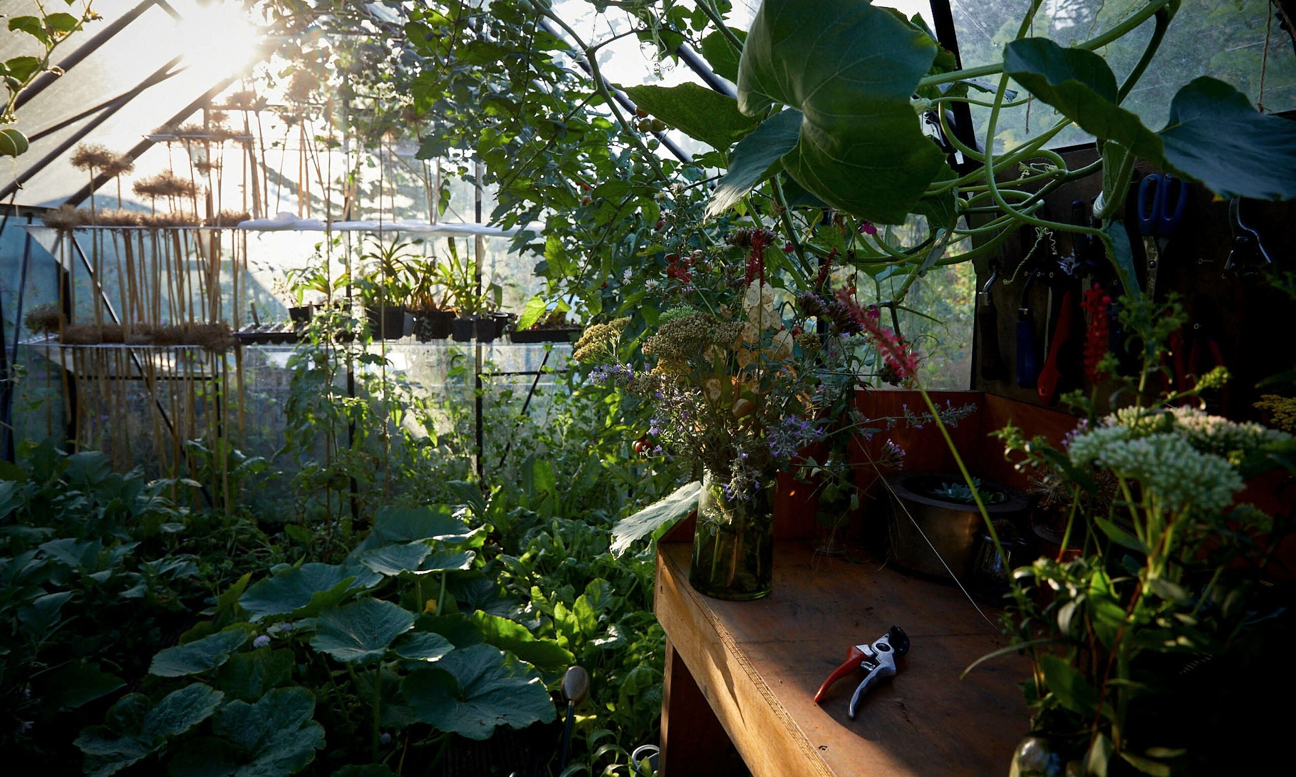 Allotment_garden_design9